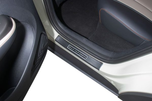 BYD DOLPHİN Kapı Eşiği Koruyucu - Görsel 7
