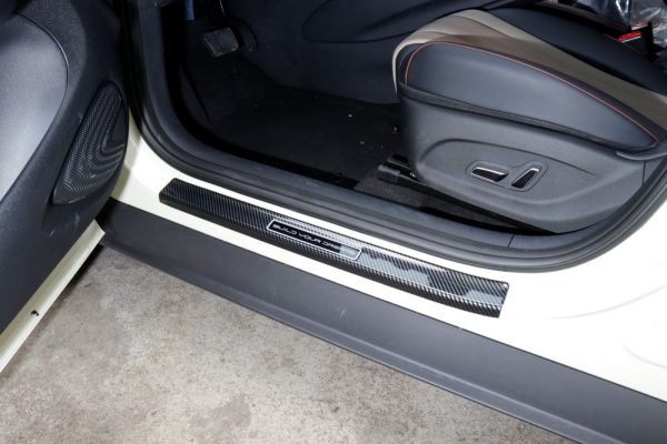 BYD SEAL U Karbon Fiber Kapı Eşiği Koruyucu