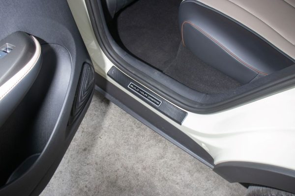 BYD DOLPHİN Kapı Eşiği Koruyucu - Görsel 9
