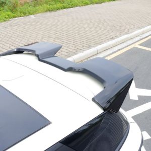 BYD DOLPHİN Spoiler