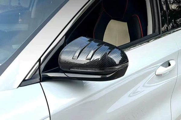 BYD SEAL U Karbon Fiber Ayna Kapağı
