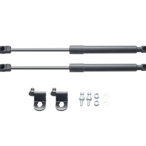 BYD ATTO3 Kaput Amortisör Kiti