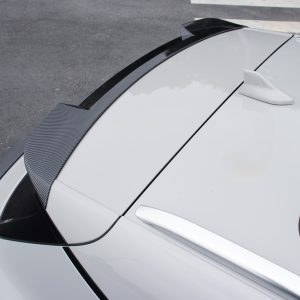 BYD Seal U Exclusive Karbon Fiber Desenli Bagaj Üstü Spoiler – 1. Sınıf ABS